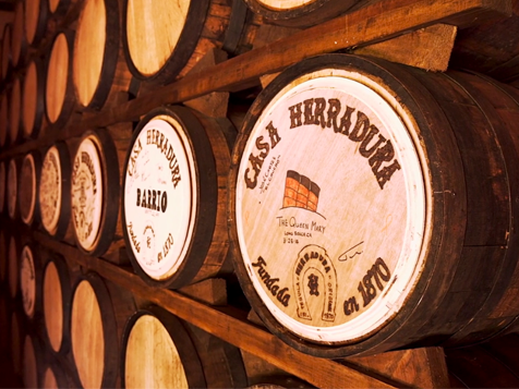 Herradura Tequila Distillery Tour