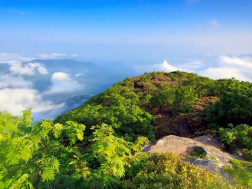 Discover Asheville